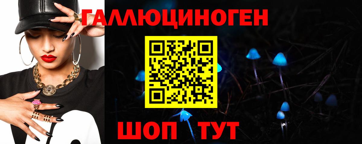 Саянск  Псилоцибиновые грибы GOLDEN TEACHER  Псилоцибиновые грибы Psilocybine cubensis  магазин продажи наркотиков  Вход с VPN 