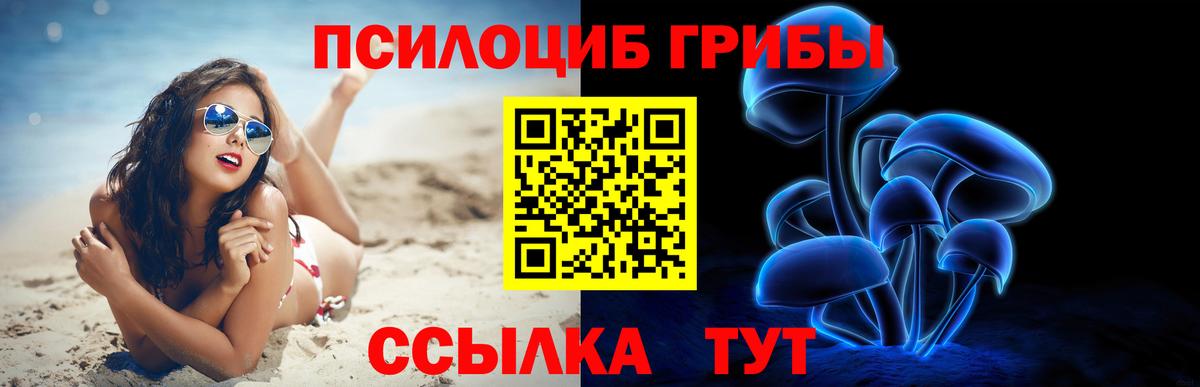 Галлюциногенные грибы Cubensis Саянск
